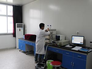 2024年社會責任報告