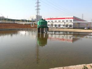 中農穎泰林州生物科園有限公司2024年度產品碳足跡報告