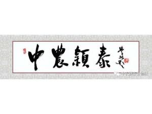 2021年:工作動態(tài),中農(nóng)穎泰工會順利換屆