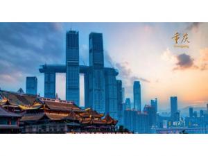 中農(nóng)穎泰集團助力2021·太陽鳥論壇盛大開幕!