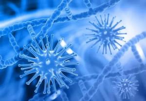 整體評(píng)估用于豬的抗生素替代品:Meta分析